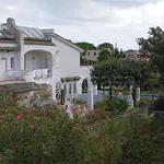 Affitto 1 camera appartamento di 42 m² in Ischia