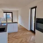 Rent 3 bedroom apartment of 120 m² in Turin