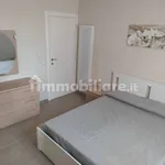 Rent 2 bedroom apartment of 55 m² in Pisa