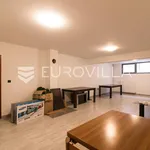 Najam 7 spavaće sobe kuća od 585 m² u Zagreb