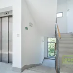 Rent 2 bedroom apartment of 60 m² in Prague