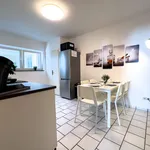 Rent 3 bedroom apartment of 80 m² in Mülheim an der Ruhr