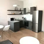 Appartement de 58 m² avec 1 chambre(s) en location à brussels