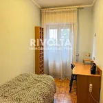 Rent 3 bedroom apartment of 90 m² in Civita Castellana