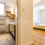 Rent 3 bedroom apartment of 100 m² in Zagreb