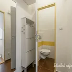 Rent 2 bedroom apartment in Praha 10