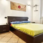 Rent 2 bedroom apartment of 45 m² in Milano