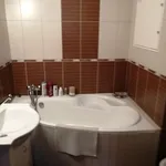 Rent 1 bedroom apartment of 43 m² in Brno