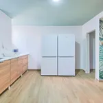 Rent 4 bedroom apartment in Madrid