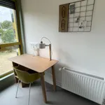 Appartement de 22 m² avec 1 chambre(s) en location à Jouy En Josas