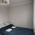 Rent 1 bedroom apartment in wroclaw