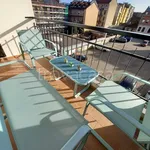 Rent 2 bedroom apartment of 65 m² in Torino