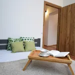 Rent 2 bedroom apartment of 35 m² in Katowicka