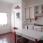 Rent 2 bedroom apartment of 40 m² in Firenze