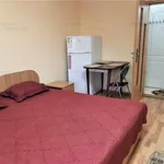 Rent 1 bedroom apartment of 21 m² in Timisoara