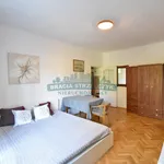 Rent 1 bedroom apartment of 36 m² in Warszawa