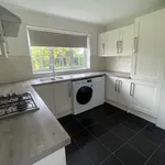 Rent 4 bedroom house in Canterbury