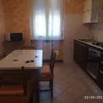 Rent 3 bedroom apartment of 100 m² in Piacenza