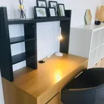 Rent 1 bedroom apartment in Antwerp