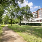 Rent 3 bedroom apartment of 86 m² in Wagenaarstraat en omgeving