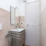 Rent 1 bedroom apartment of 35 m² in Torino