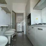 Rent 1 bedroom apartment of 50 m² in Bergamo