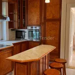 Rent 11 bedroom house of 1131 m² in Budapest