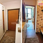 Pronajměte si 3 ložnic/e byt o rozloze 69 m² v Prague