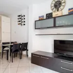 Rent 1 bedroom apartment in Bologna