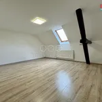 Rent 4 bedroom apartment of 90 m² in Chářovice