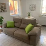 Alquilo 1 dormitorio apartamento de 54 m² en Alicante