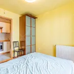 Rent 1 bedroom apartment of 41 m² in Budapest