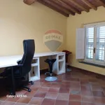 Rent 6 bedroom apartment of 130 m² in Lucca