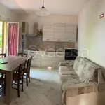 Rent 2 bedroom apartment of 50 m² in Riccione