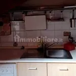 Rent 1 bedroom apartment of 20 m² in Torino