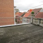 Rent 1 bedroom apartment in Zottegem