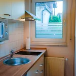 Rent 2 bedroom apartment of 30 m² in Speyer