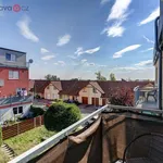 Rent 2 bedroom apartment of 53 m² in Brno