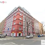 Rent 1 bedroom apartment of 33 m² in Praha