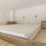 Rent 1 bedroom apartment of 15 m² in Brno