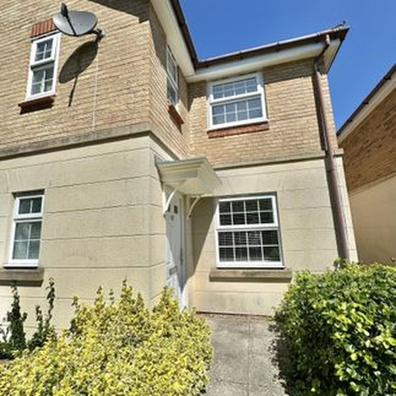 Semi-detached house to rent in Wards View, Kesgrave IP5 Rushmere St Andrew