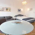 Miete 1 Schlafzimmer wohnung von 30 m² in Vienna