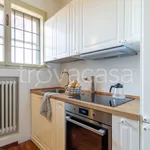 Rent 3 bedroom apartment of 65 m² in Bologna