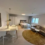 Rent 1 bedroom apartment of 42 m² in Munich