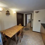 Rent 1 bedroom apartment of 50 m² in Padova