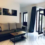 Rent 2 bedroom apartment of 55 m² in Dresden