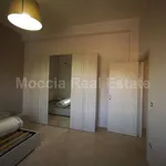 Rent 2 bedroom apartment of 50 m² in San Nicola La Strada