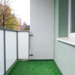 Rent 2 bedroom apartment of 53 m² in Žďár nad Sázavou