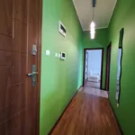 Rent 2 bedroom apartment of 47 m² in Przemyśl