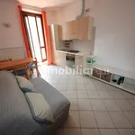 Rent 2 bedroom apartment of 55 m² in Monza